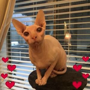 Meet your Posher, Alexandra